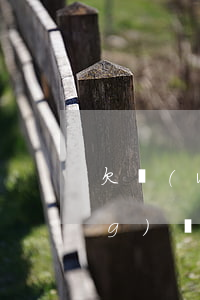 欠網(wǎng)貸司法拍賣(欠網(wǎng)貸司法拍賣)