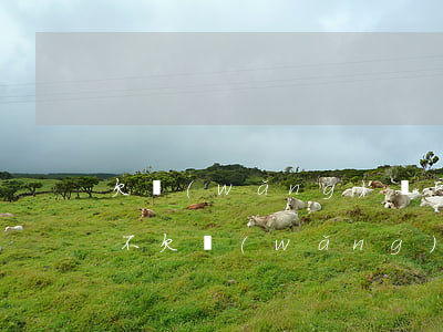 欠網(wǎng)貸司法會(huì)抓人不(欠網(wǎng)貸司法部門會(huì)上門嗎)