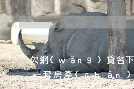 欠網(wǎng)貸名下一套房(欠錢名下就一套房產(chǎn))