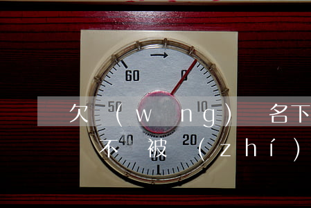 欠網(wǎng)貸名下房產(chǎn)會不會被執(zhí)行(欠網(wǎng)貸按揭房會被法院執(zhí)行嗎)