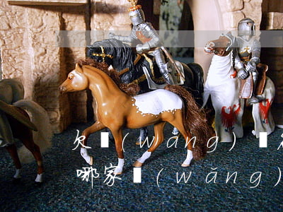 欠網(wǎng)貸名下有公司(不知道欠了哪家網(wǎng)貸)