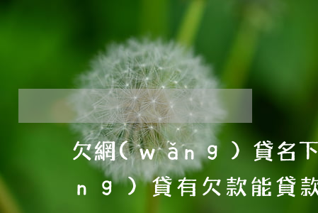 欠網(wǎng)貸名下有按揭車(網(wǎng)貸有欠款能貸款買車嗎)