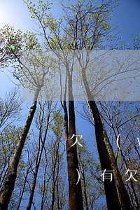 欠網(wǎng)貸名下有貸款車(chē)(有欠網(wǎng)貸車(chē)貸能下來(lái)嗎)