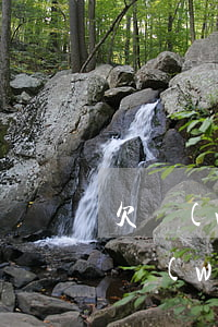 欠網(wǎng)貸名下的房子怎么轉移(欠網(wǎng)貸能過戶房子嗎)