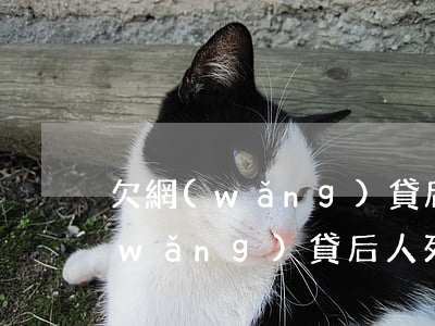 欠網(wǎng)貸后人死了怎么辦(欠網(wǎng)貸后人死了怎么辦)