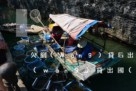 欠網(wǎng)貸后出國(guó)(欠網(wǎng)貸出國(guó)了會(huì)怎么樣)