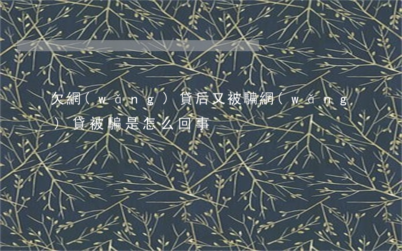 欠網(wǎng)貸后又被騙(網(wǎng)貸被騙是怎么回事)