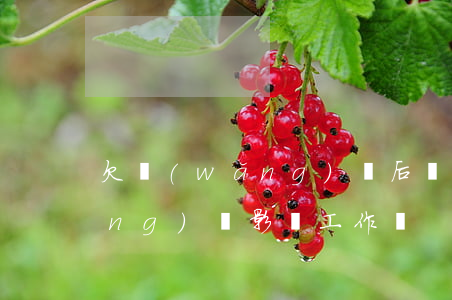 欠網(wǎng)貸后換了工作(欠網(wǎng)貸影響工作嗎)