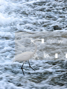 欠網(wǎng)貸后換號(hào)碼了(我都換號(hào)碼了網(wǎng)貸怎么還有)