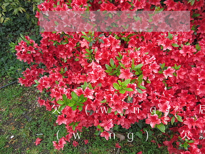 欠網(wǎng)貸后收到律師函怎么辦(網(wǎng)貸欠款發(fā)律師函怎么辦)