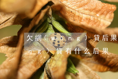 欠網(wǎng)貸后果是什么(欠網(wǎng)貸有什么后果)