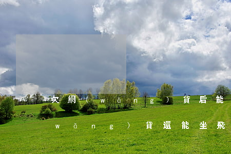 欠網(wǎng)貸后能坐飛機嗎(欠了網(wǎng)貸還能坐飛機嗎)