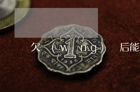 欠網(wǎng)貸后能貸款買車嗎
