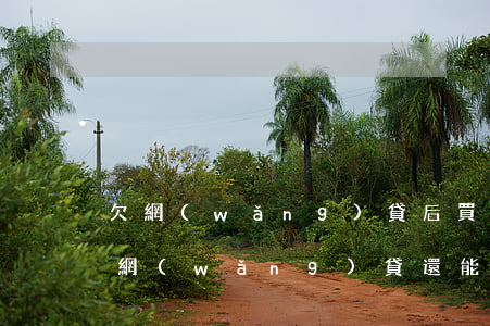 欠網(wǎng)貸后買房可以按揭不(欠了網(wǎng)貸還能貸款買房嗎)