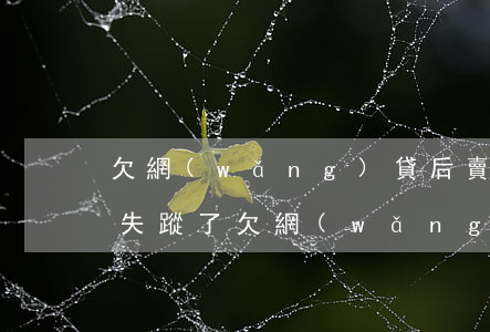 欠網(wǎng)貸后賣(mài)了房子失蹤了(欠網(wǎng)貸玩失蹤會(huì)找到嗎)