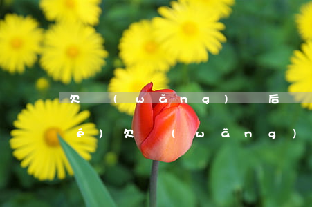 欠網(wǎng)貸后銀行卡被凍結(jié)(欠網(wǎng)貸什么情況會被凍結(jié)銀行卡)