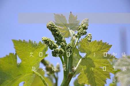 欠網(wǎng)貸和信用卡11萬怎么還款(欠信用卡11萬怎么上岸)