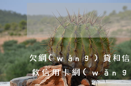 欠網(wǎng)貸和信用卡20萬如何自救（信用卡網(wǎng)貸逾期負(fù)債20萬怎么跟家里說）