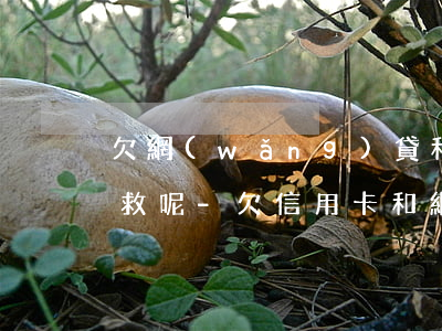 欠網(wǎng)貸和信用卡20萬如何自救呢-欠信用卡和網(wǎng)貸二十萬怎么辦