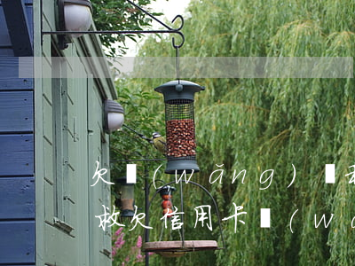 欠網(wǎng)貸和信用卡20萬如何自救(欠信用卡網(wǎng)貸60萬如何自救)