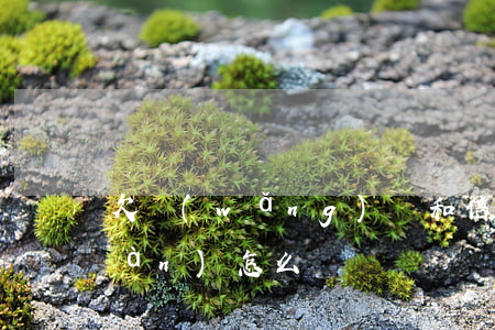 欠網(wǎng)貸和信用卡60多萬(wàn)怎么辦