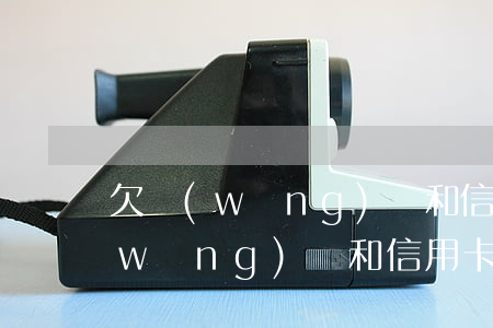 欠網(wǎng)貸和信用卡不還-欠網(wǎng)貸和信用卡不還會(huì)坐牢?