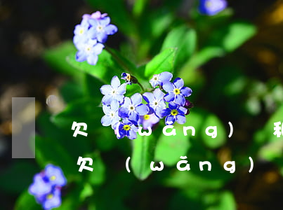 欠網(wǎng)貸和信用卡區(qū)別(欠網(wǎng)貸和欠信用卡哪個(gè)嚴(yán)重)