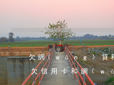 欠網(wǎng)貸和信用卡十多萬怎么辦(欠信用卡和網(wǎng)貸三十多萬還不上怎么辦)