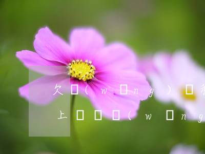 欠網(wǎng)貸和信用卡會(huì)上門嗎(網(wǎng)貸欠款可以辦信用卡嗎)