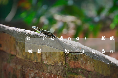 欠網(wǎng)貸和信用卡會(huì)被起訴嗎(欠網(wǎng)貸會(huì)不會(huì)影響信用卡)