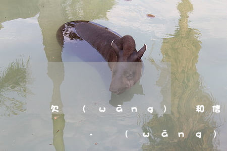 欠網(wǎng)貸和信用卡沒還可以坐飛機嗎-網(wǎng)貸和信用卡逾期了以后可以坐飛機嗎?