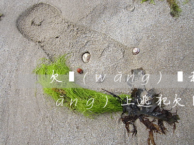 欠網(wǎng)貸和信用卡算不算網(wǎng)上逃犯(欠網(wǎng)貸和信用卡算不算網(wǎng)上逃犯)