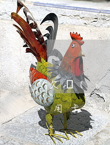 欠網(wǎng)貸和信用卡能出國嗎(欠信用卡可以出國嗎?)