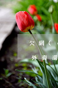 欠網(wǎng)貸和信用卡能跑外賣嗎(跑外賣還網(wǎng)貸)