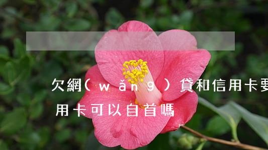 欠網(wǎng)貸和信用卡要自首么(欠信用卡可以自首嗎)