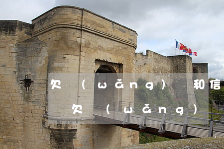 欠網(wǎng)貸和信用卡還不起了怎么辦(欠網(wǎng)貸不欠信用卡)