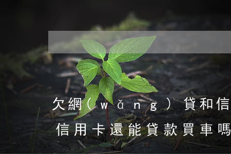欠網(wǎng)貸和信用卡還能買車嗎(欠信用卡還能貸款買車嗎)