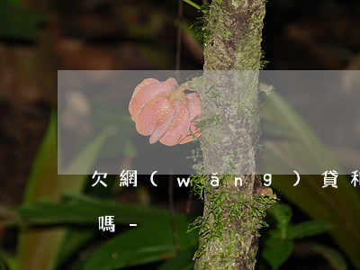 欠網(wǎng)貸和信用卡還能辦信用卡嗎-