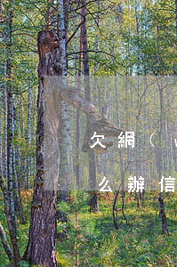 欠網(wǎng)貸和信用貸太多沒錢還怎么辦(信用網(wǎng)貸還不上怎么辦)