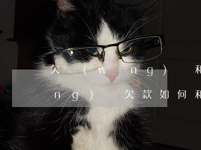 欠網(wǎng)貸和家人坦白后(網(wǎng)貸欠款如何和家人坦白)