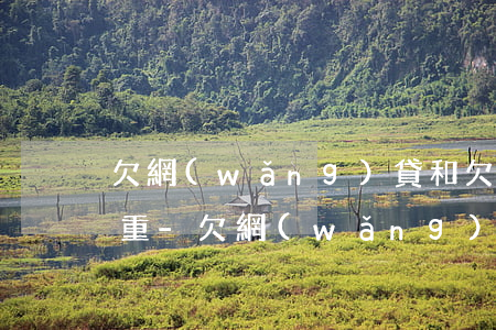 欠網(wǎng)貸和欠信用卡哪個更為嚴重-欠網(wǎng)貸和欠信用卡哪個更為嚴重些