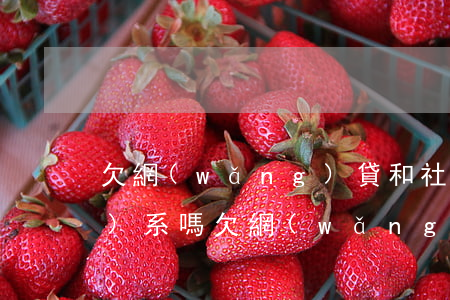 欠網(wǎng)貸和社保有關(guān)系嗎(欠網(wǎng)貸交社保交不了社保)