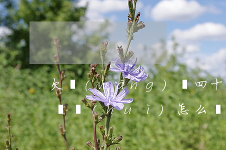 欠網(wǎng)貸四十多萬(wàn)不還會(huì)怎么樣(網(wǎng)貸欠了四萬(wàn))
