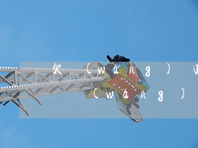 欠網(wǎng)貸四十萬(wàn)怎么辦(網(wǎng)貸欠了五十萬(wàn)怎么辦)