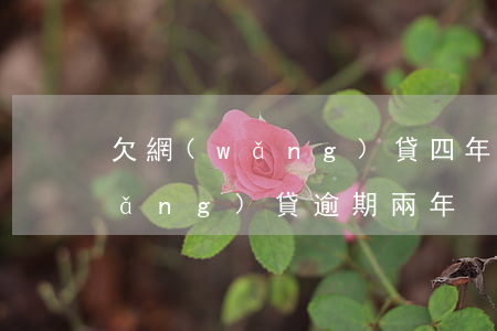 欠網(wǎng)貸四年不還的案例(網(wǎng)貸逾期兩年)