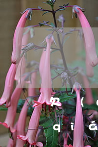 欠網(wǎng)貸四萬(wàn)塊錢(qián)會(huì)凍結(jié)銀行卡么-欠網(wǎng)貸四萬(wàn)塊錢(qián)會(huì)凍結(jié)銀行卡么嗎