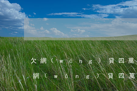 欠網(wǎng)貸四萬多不還會怎么樣(欠網(wǎng)貸四萬多不還會怎么樣)