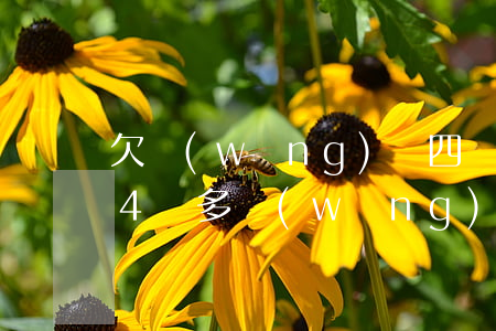 欠網(wǎng)貸四萬怎么計劃還款(欠了4萬多網(wǎng)貸怎么還)