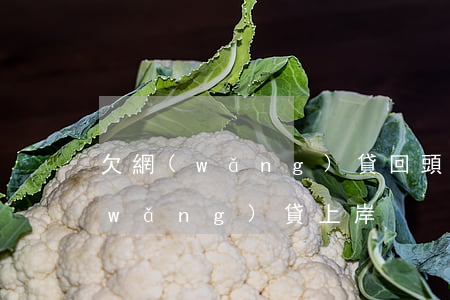 欠網(wǎng)貸回頭是岸完整版(欠網(wǎng)貸上岸)