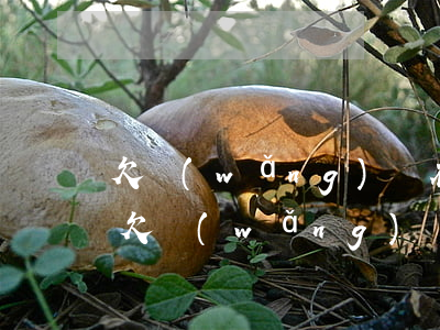 欠網(wǎng)貸在其他廠上班能查到嗎(欠網(wǎng)貸會找到現(xiàn)在上班的地方嗎)